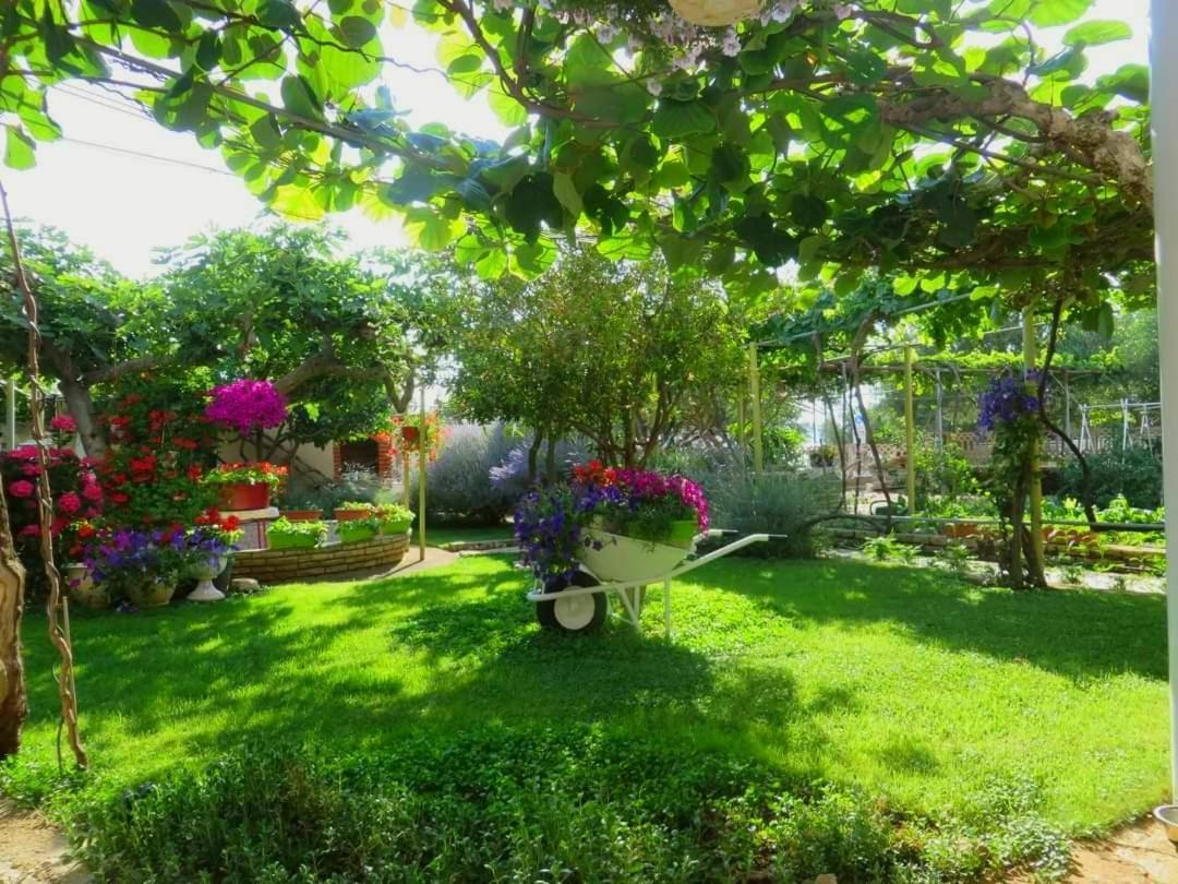 Beach Apartment Roza Biograd Oneroom - Premium Location Biograd na Moru Kültér fotó