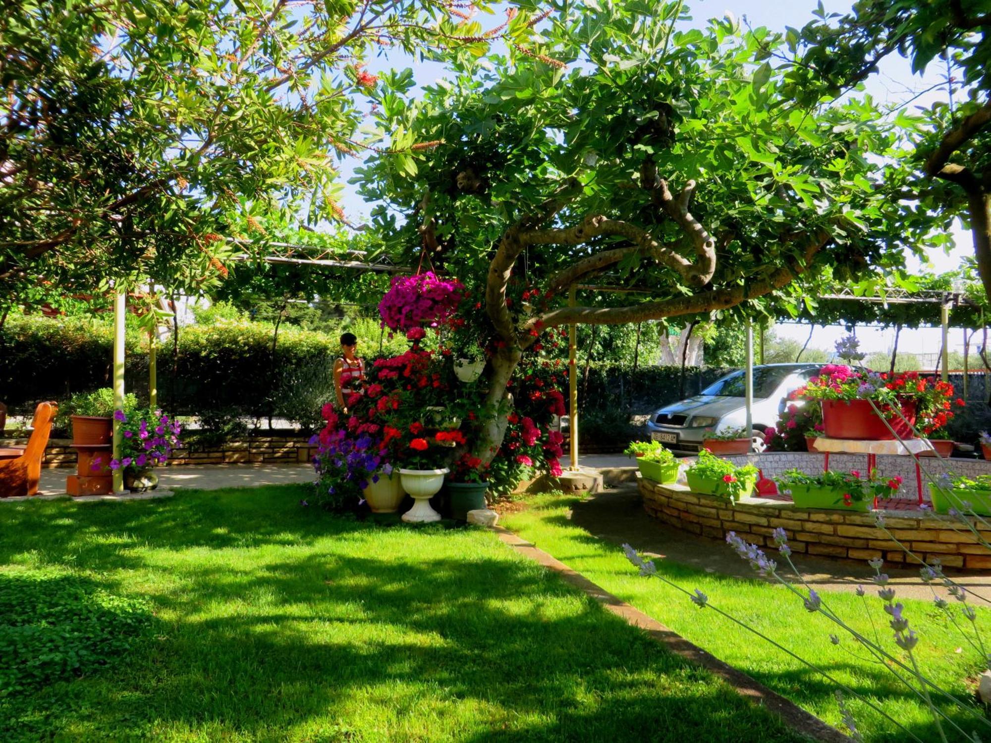 Beach Apartment Roza Biograd Oneroom - Premium Location Biograd na Moru Kültér fotó